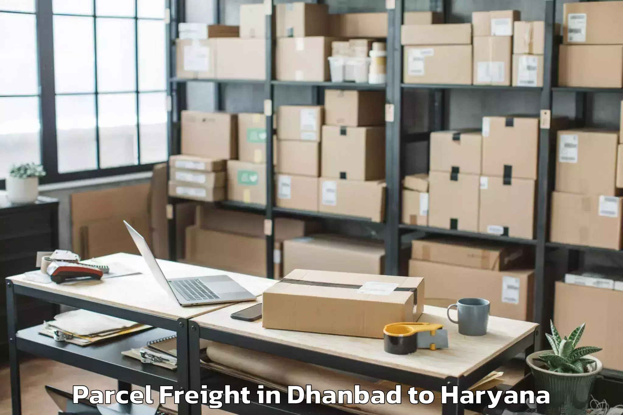 Book Your Dhanbad to Mvn University Palwal Parcel Freight Today